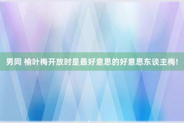 男同 榆叶梅开放时是最好意思的好意思东谈主梅!