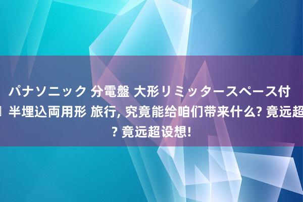 パナソニック 分電盤 大形リミッタースペース付 露出・半埋込両用形 旅行， 究竟能给咱们带来什么? 竟远超设想!